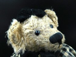 theodora bear face